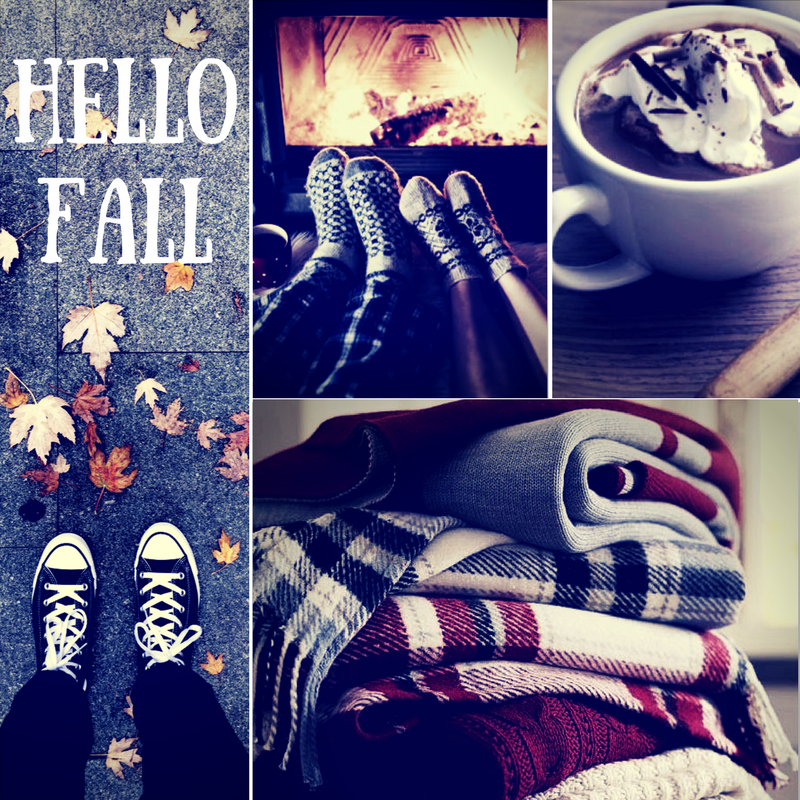 Looking For Things To Do This Fall? 